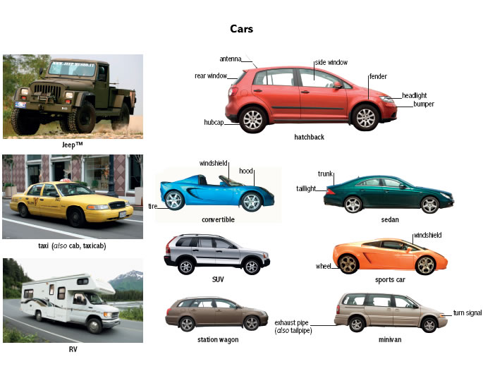 Vehicle is a thing used for transporting people or goods, especially on land, such as a car, truck, or cart.